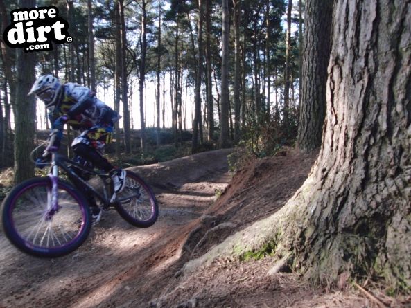 Delamere Forest Mountain Bike Trails