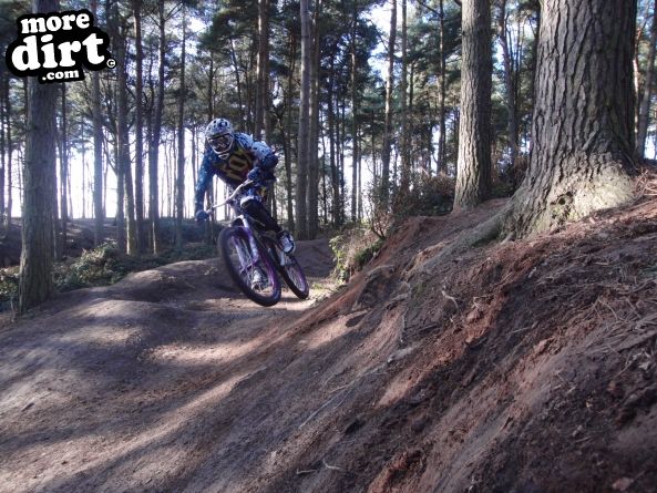 Delamere Forest Mountain Bike Trails