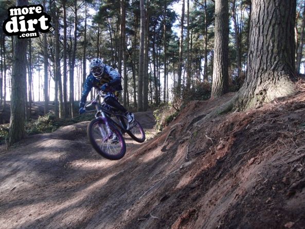 Delamere Forest Mountain Bike Trails