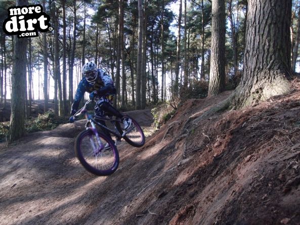 Delamere Forest Mountain Bike Trails