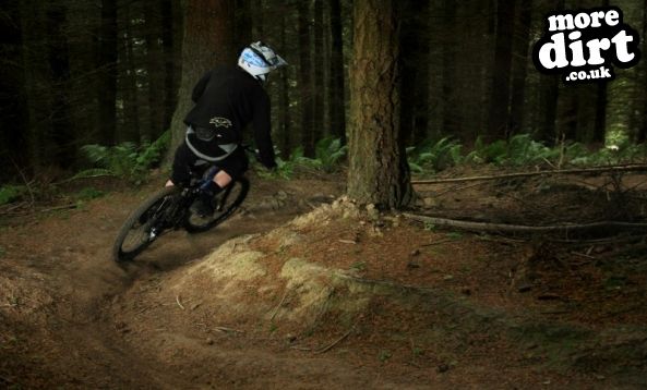 Hopton Wood Downhill Trail
