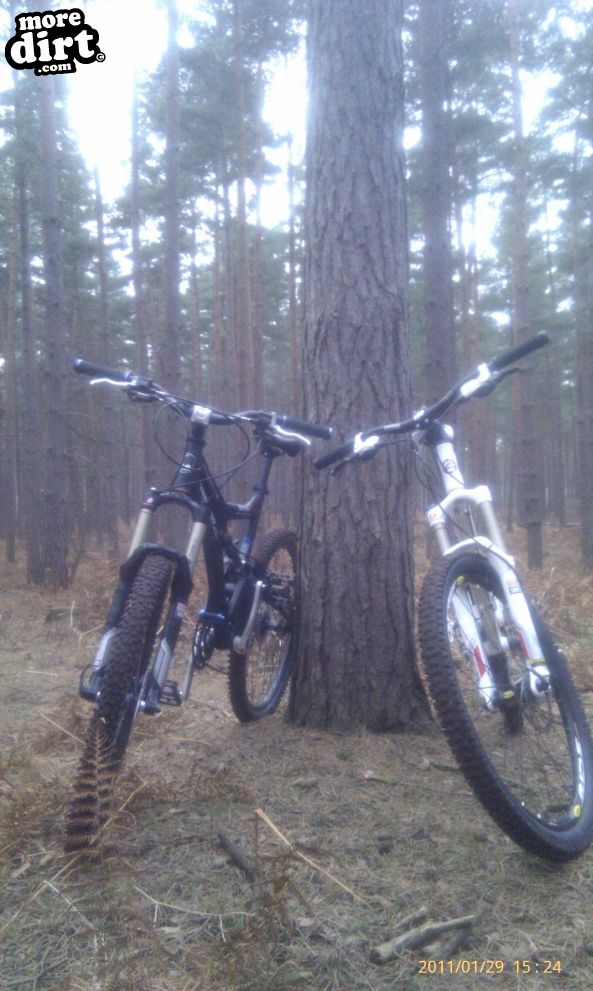 Swinley Forest Mountain Bike Centre