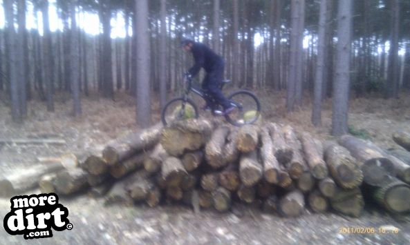 Swinley Forest Mountain Bike Centre