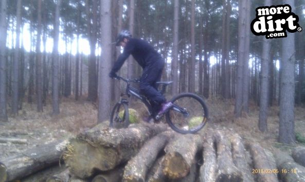 Swinley Forest Mountain Bike Centre
