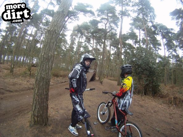 Chicksands Bike Park