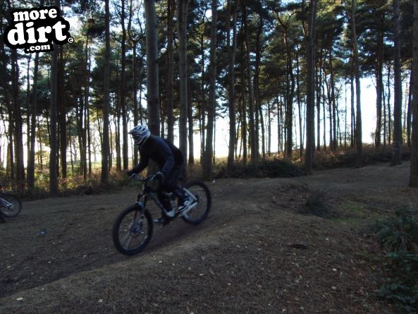 Delamere Forest Mountain Bike Trails