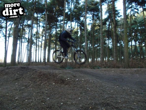 Delamere Forest Mountain Bike Trails