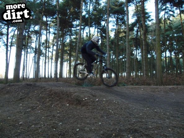 Delamere Forest Mountain Bike Trails