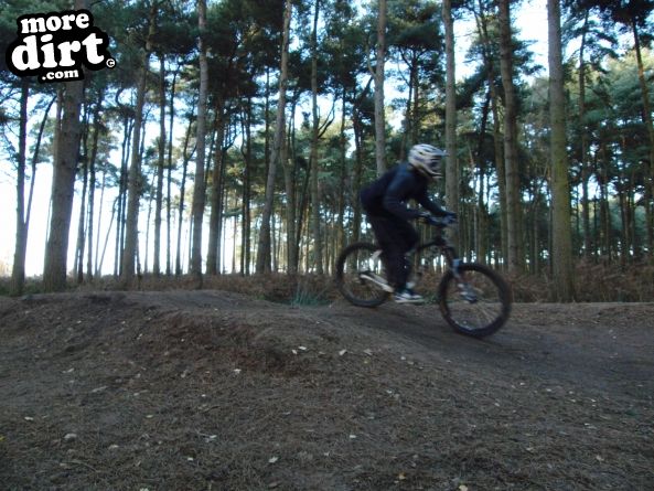 Delamere Forest Mountain Bike Trails