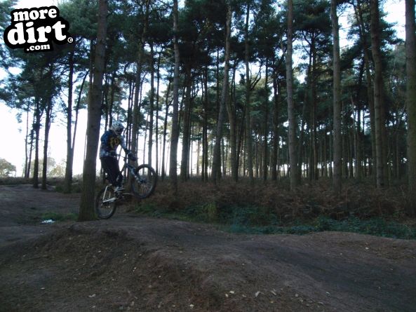 Delamere Forest Mountain Bike Trails