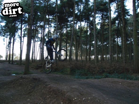 Delamere Forest Mountain Bike Trails
