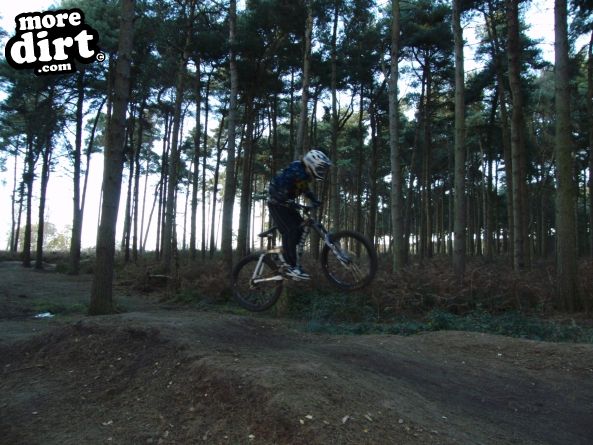 Delamere Forest Mountain Bike Trails