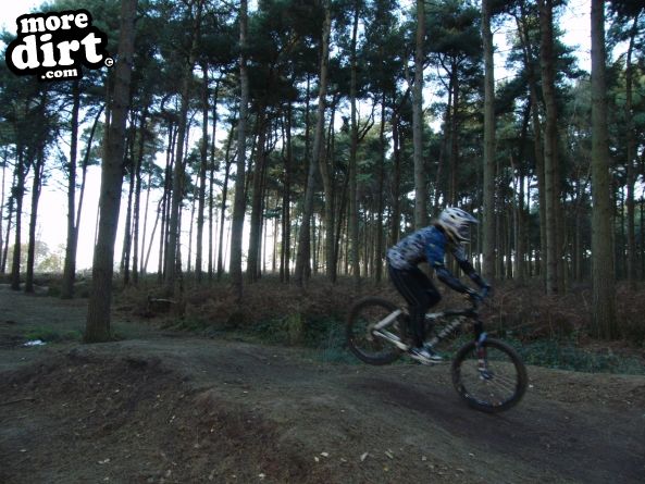 Delamere Forest Mountain Bike Trails