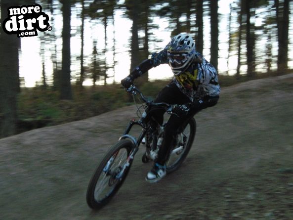 Delamere Forest Mountain Bike Trails