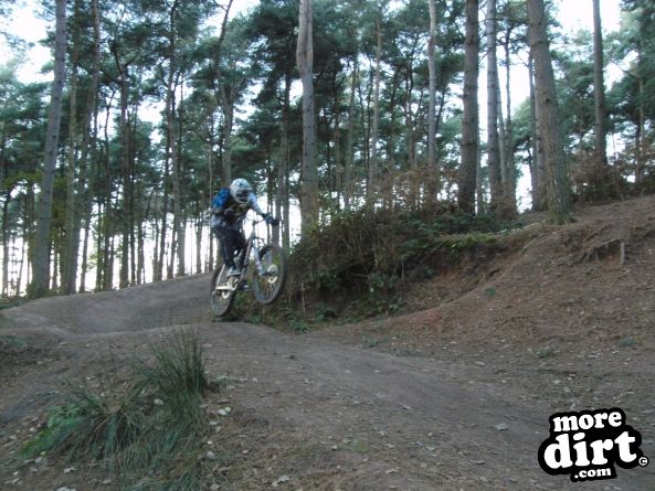 Delamere Forest Mountain Bike Trails