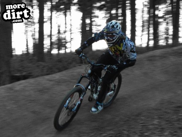 Delamere Forest Mountain Bike Trails