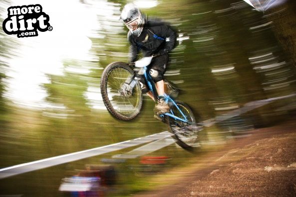Downhill Trails - Forest of Dean