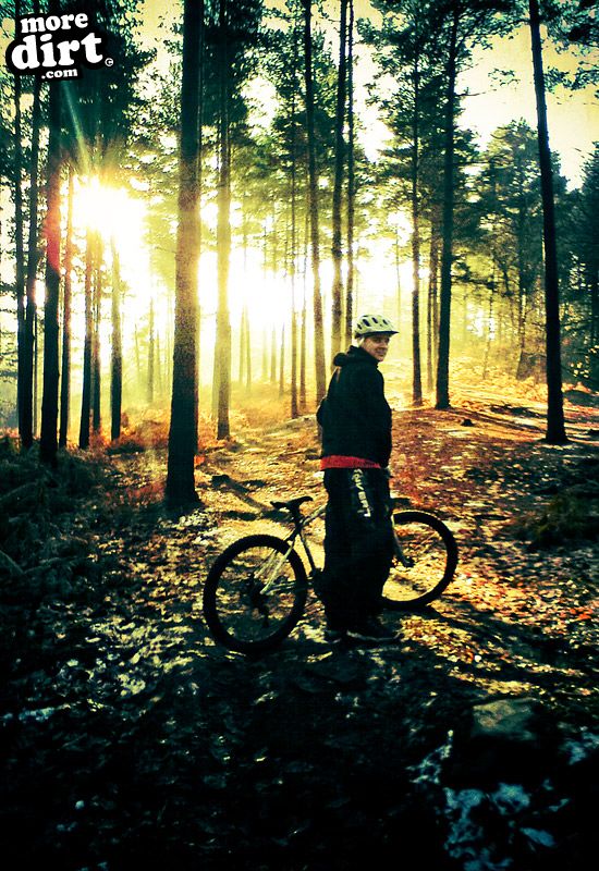 Swinley Forest Mountain Bike Centre