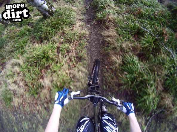 Stornoway Castle Grounds