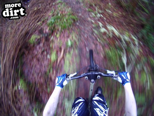 Stornoway Castle Grounds