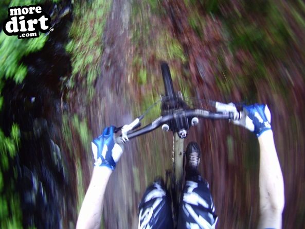 Stornoway Castle Grounds