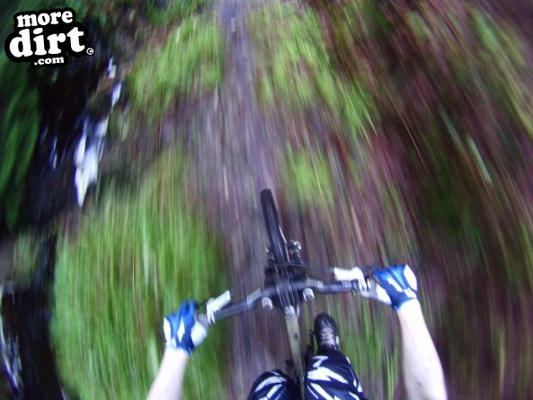 Stornoway Castle Grounds