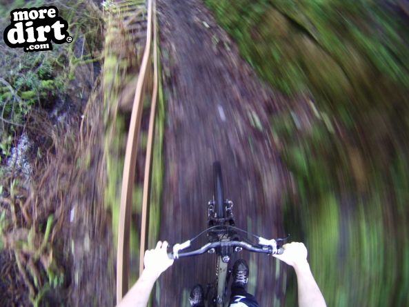 Stornoway Castle Grounds