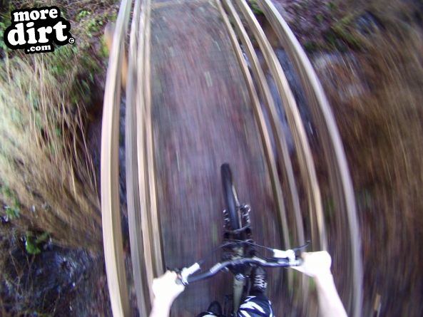 Stornoway Castle Grounds