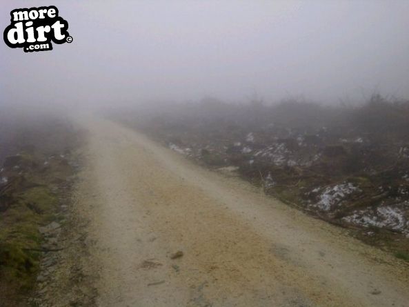 Red Trail - Coed Llandegla Forest