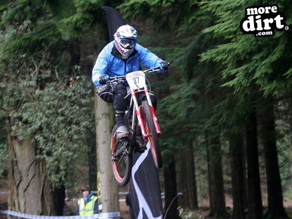 Downhill Trails - Forest of Dean