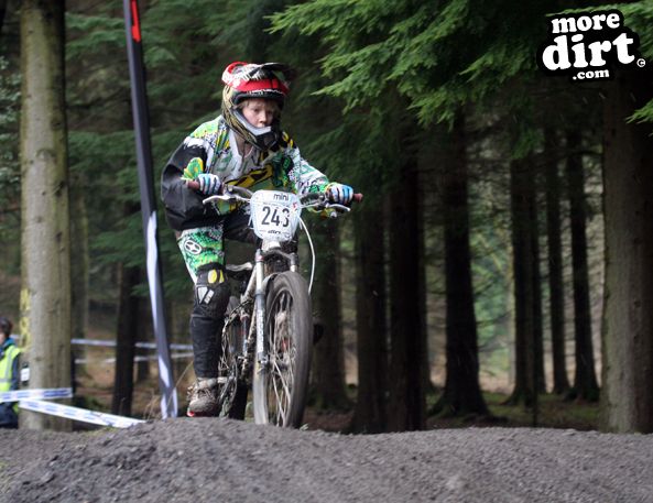 Downhill Trails - Forest of Dean