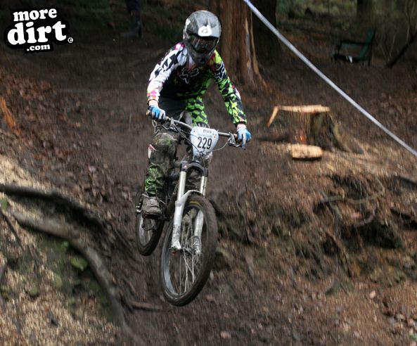 Downhill Trails - Forest of Dean