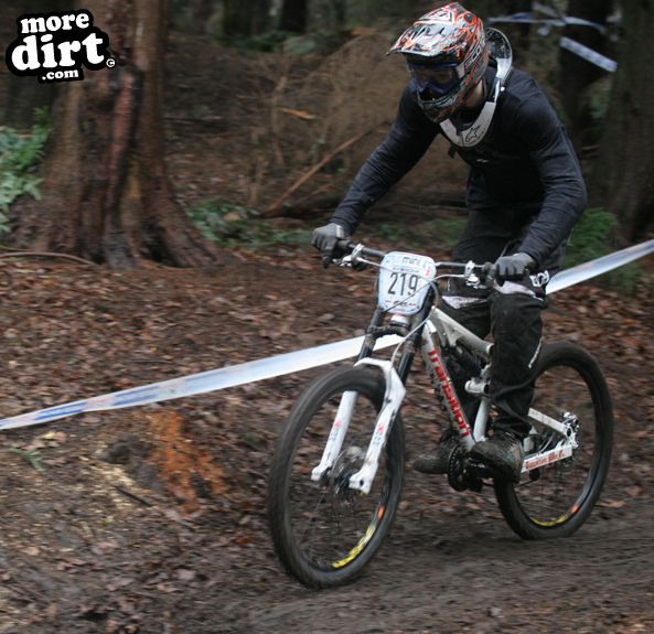 Downhill Trails - Forest of Dean