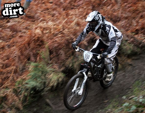 Downhill Trails - Forest of Dean