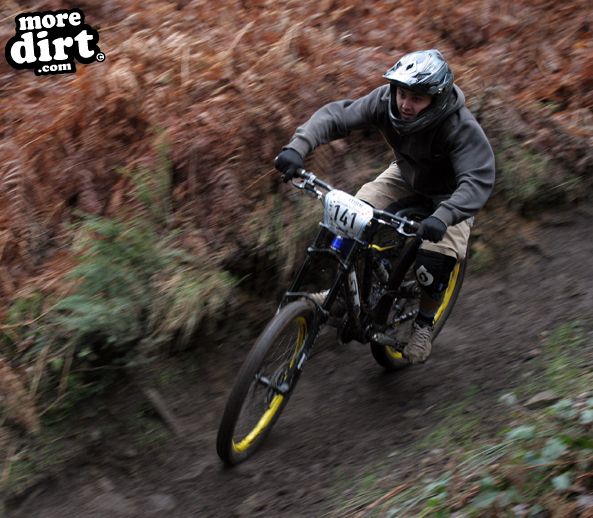 Downhill Trails - Forest of Dean