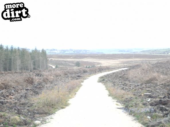 Red Trail - Coed Llandegla Forest