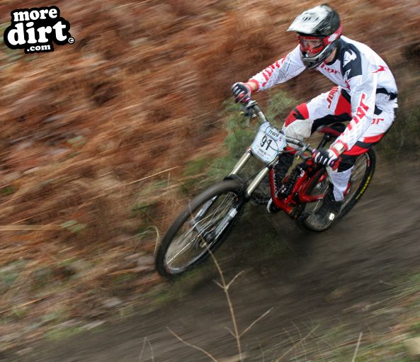 Downhill Trails - Forest of Dean