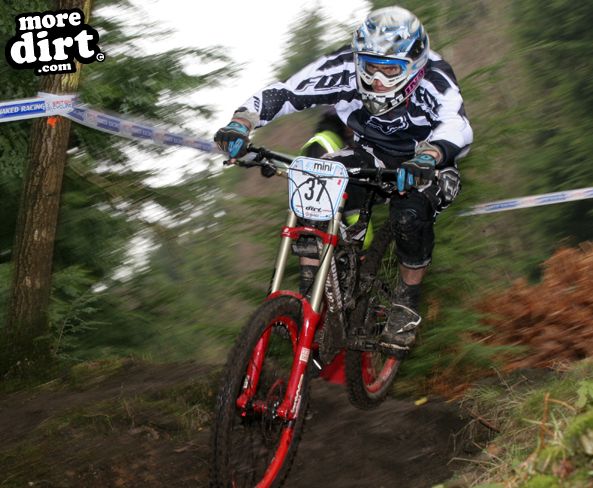 Downhill Trails - Forest of Dean