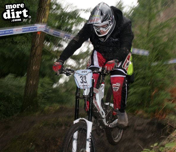 Downhill Trails - Forest of Dean