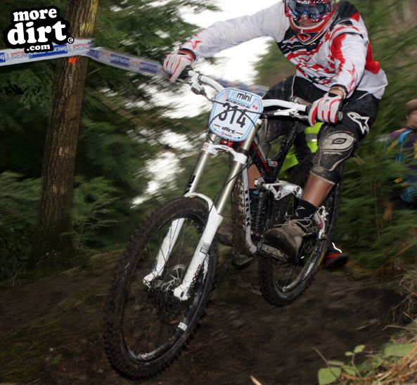 Downhill Trails - Forest of Dean
