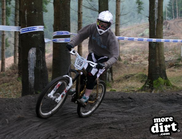 Downhill Trails - Forest of Dean
