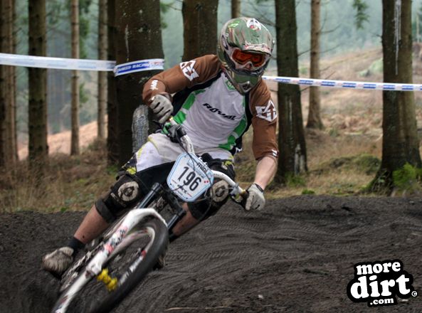 Downhill Trails - Forest of Dean