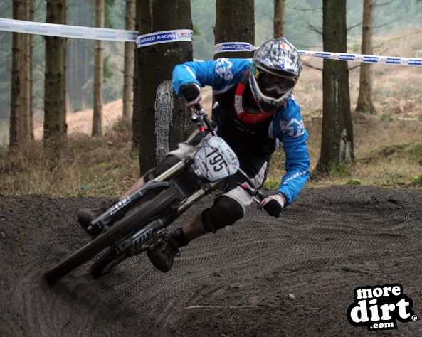 Downhill Trails - Forest of Dean
