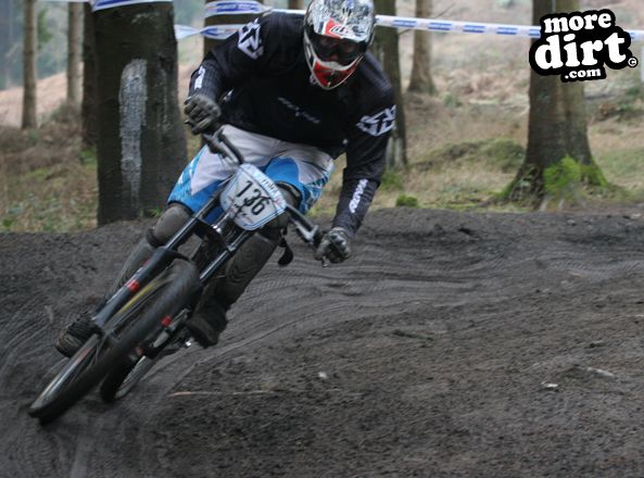 Downhill Trails - Forest of Dean