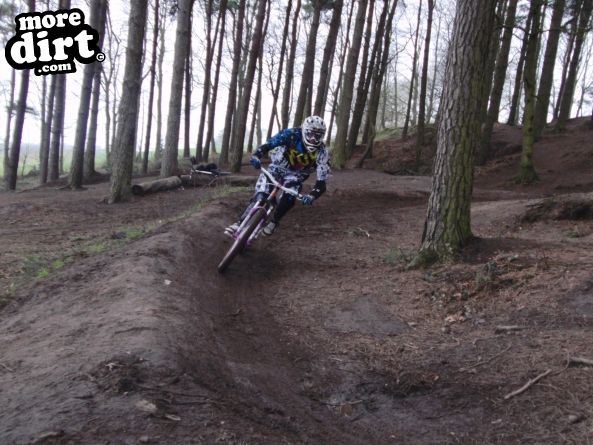 Delamere Forest Mountain Bike Trails