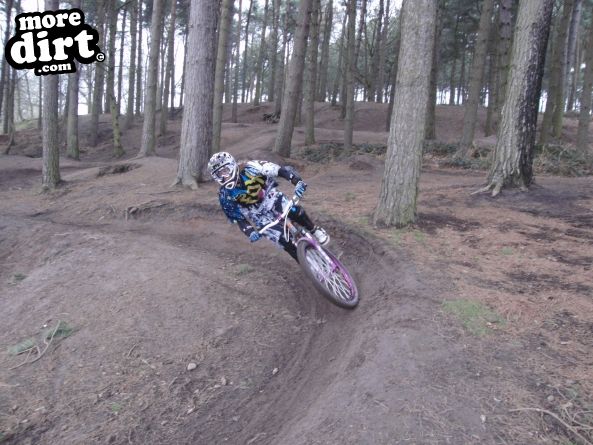 Delamere Forest Mountain Bike Trails