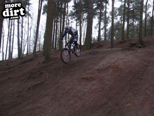 Delamere Forest Mountain Bike Trails