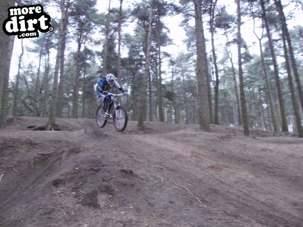 Delamere Forest Mountain Bike Trails