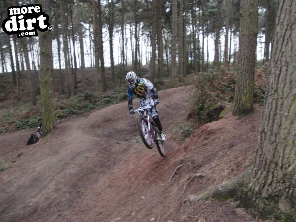Delamere Forest Mountain Bike Trails