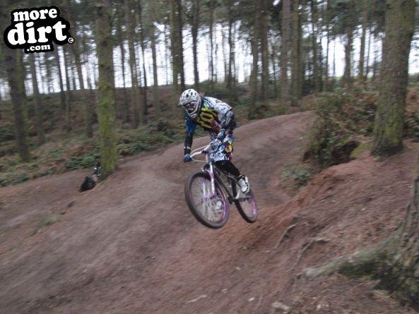 Delamere Forest Mountain Bike Trails